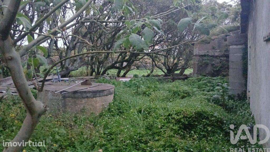 Casa / Villa T4 em Lajes de 99 m2 - Grande imagem: 3/3