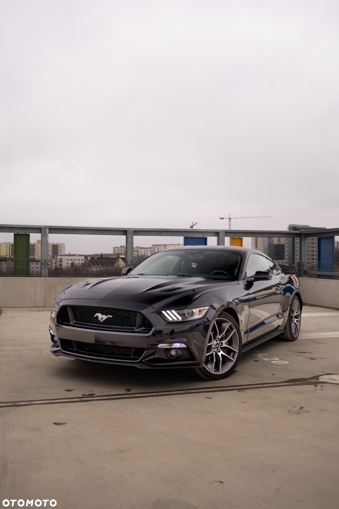 Ford Mustang 5.0 V8 Black Edition - 24