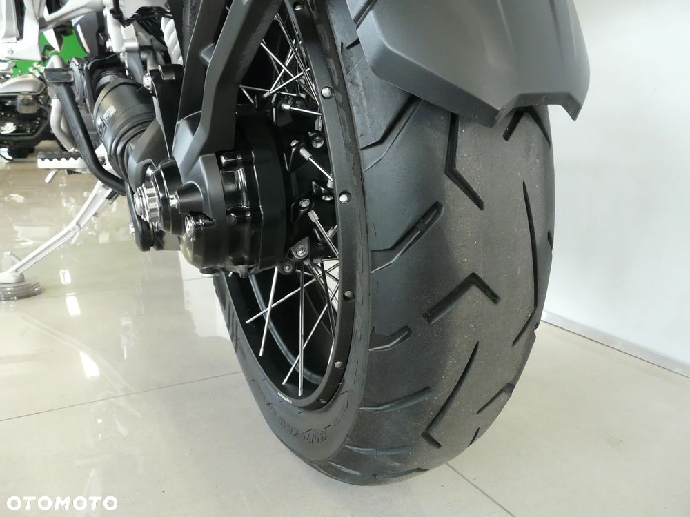 Triumph Tiger - 17
