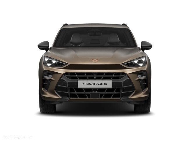 Cupra Terramar 2.0 TSI 4Drive Advantage Edition DSG - 6