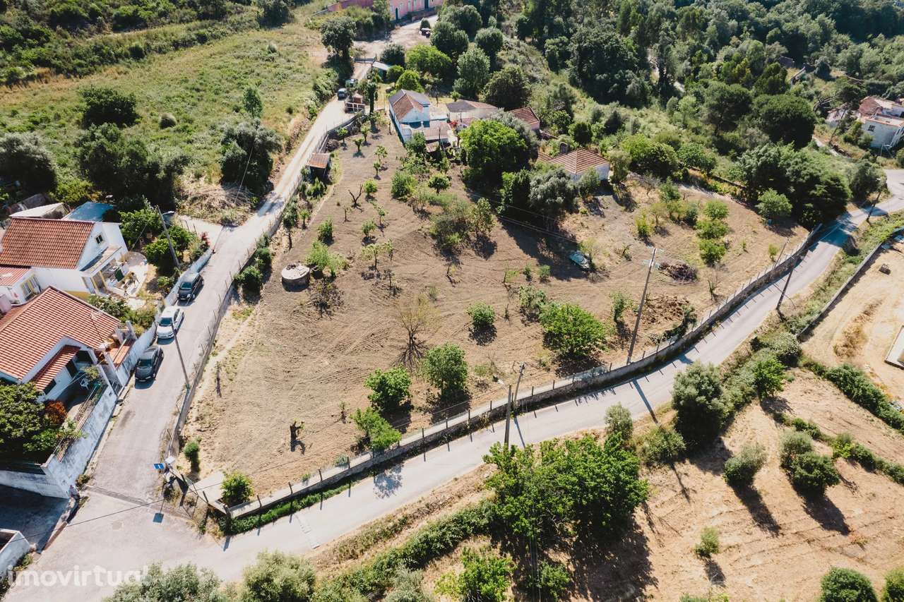 Quintinha para Venda - Perto de Alenquer - Grande imagem: 2/16