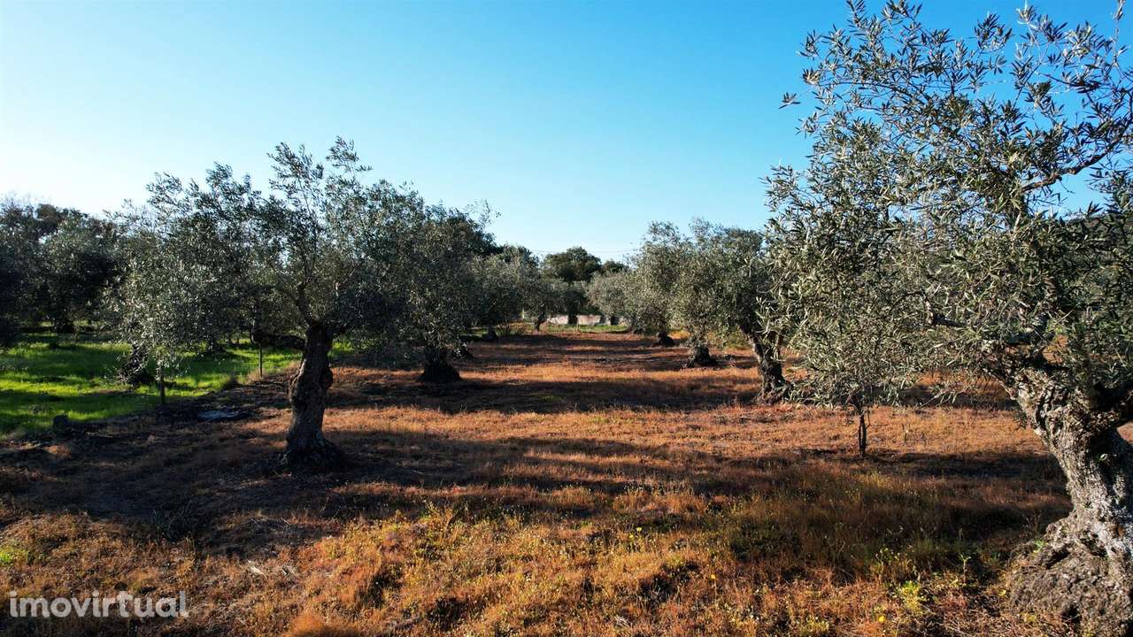 Terreno - Grande imagem: 5/10