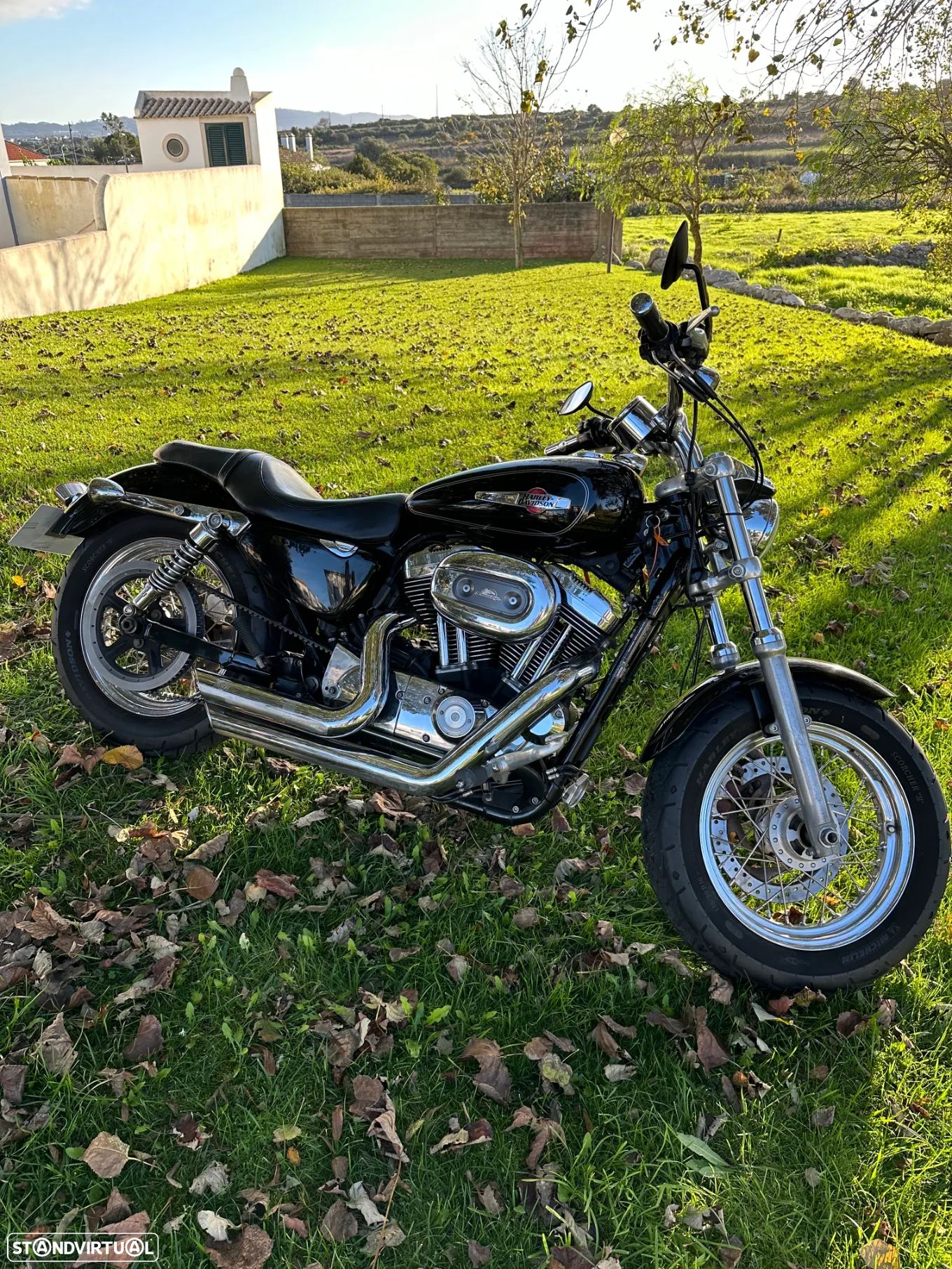 Harley-Davidson XL 1200C CUSTOM - 1