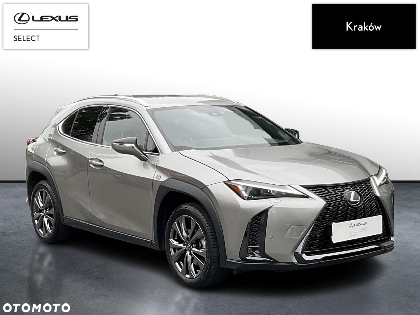 Lexus UX 250h GPF F Sport Design 2WD - 7