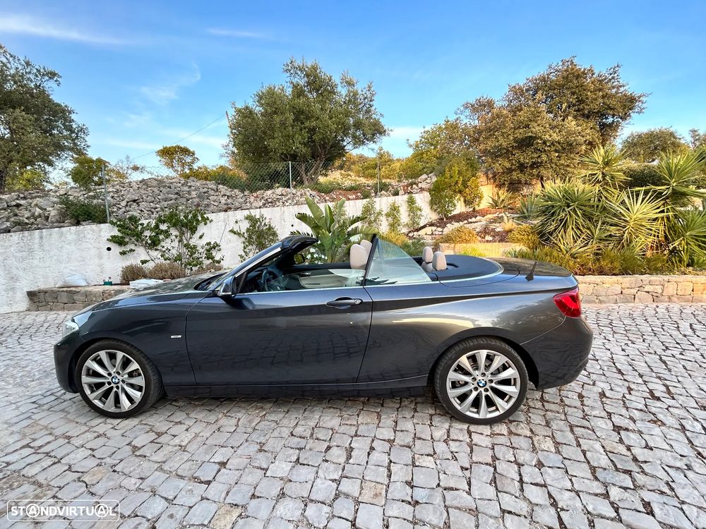 BMW 220 d Cabrio LIne Luxury Auto - 12