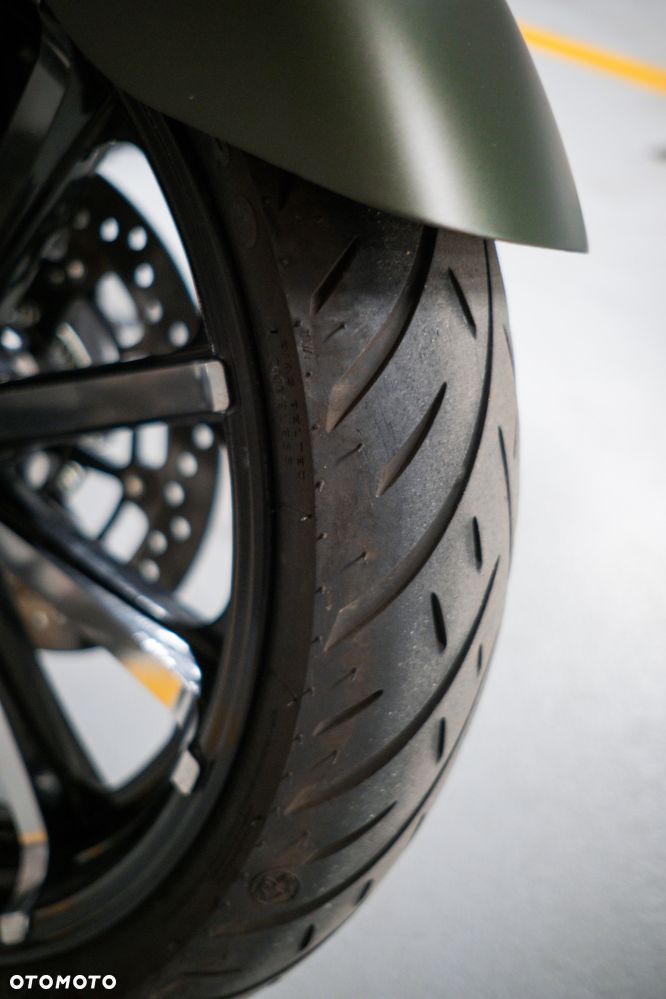 Indian Springfield - 29