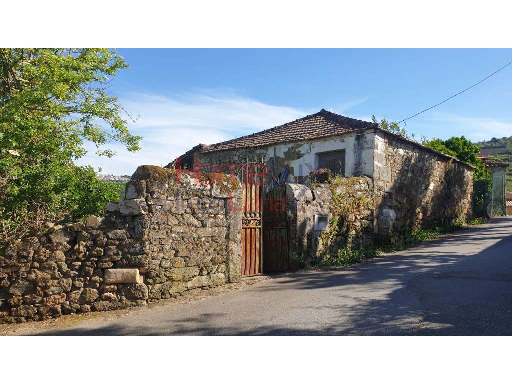 Quinta com Ruína em Cambres, Lamego - Grande imagem: 3/14