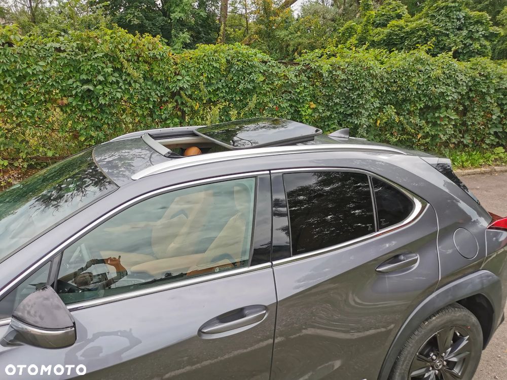 Lexus UX 250h - 19