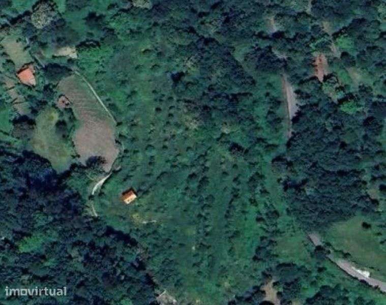 Quinta de Cabaçal - Grande imagem: 2/3