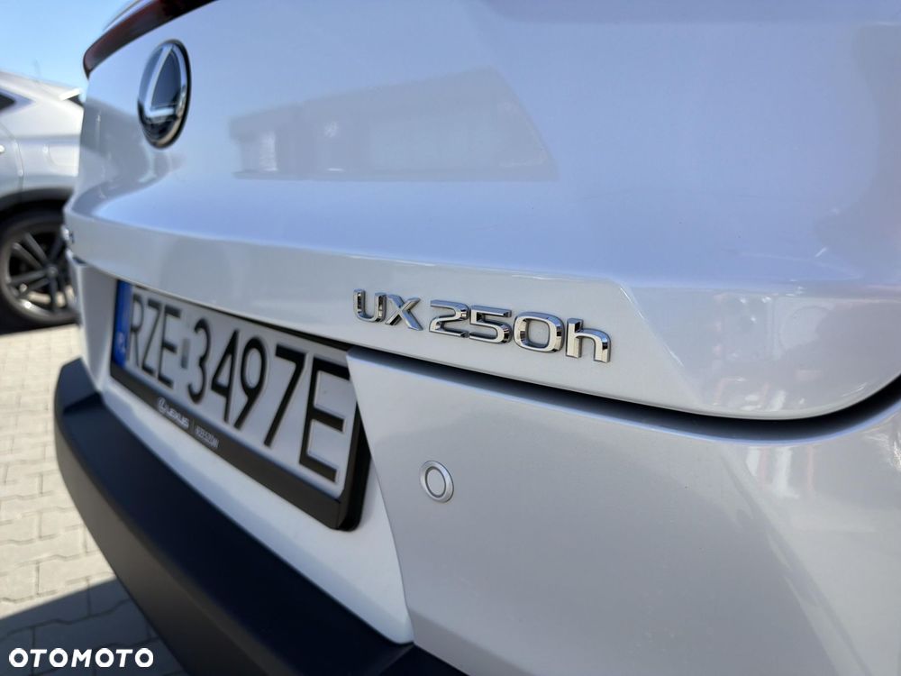 Lexus UX 250h GPF Business 2WD - 31