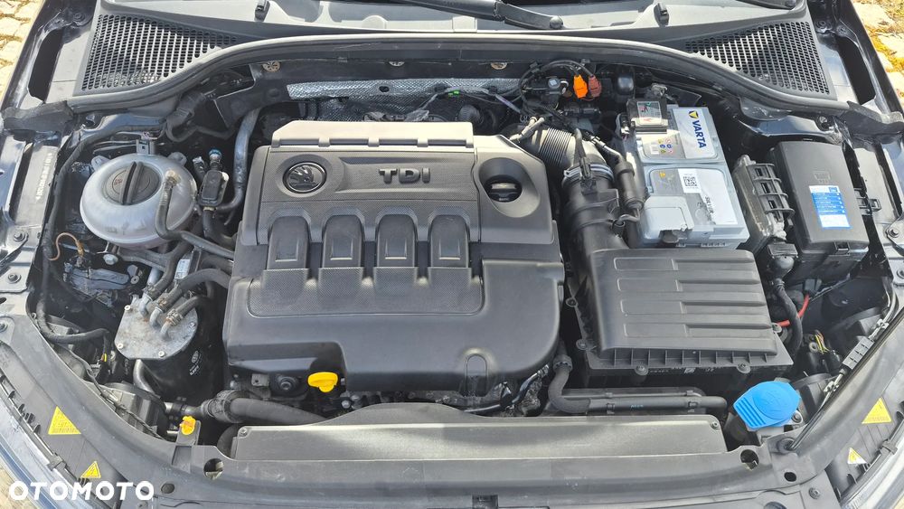 Skoda Octavia 2.0 TDI Green tec Edition - 14