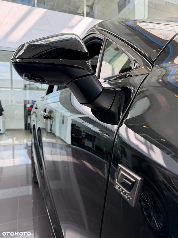Lexus RX 500h F Sport - 24