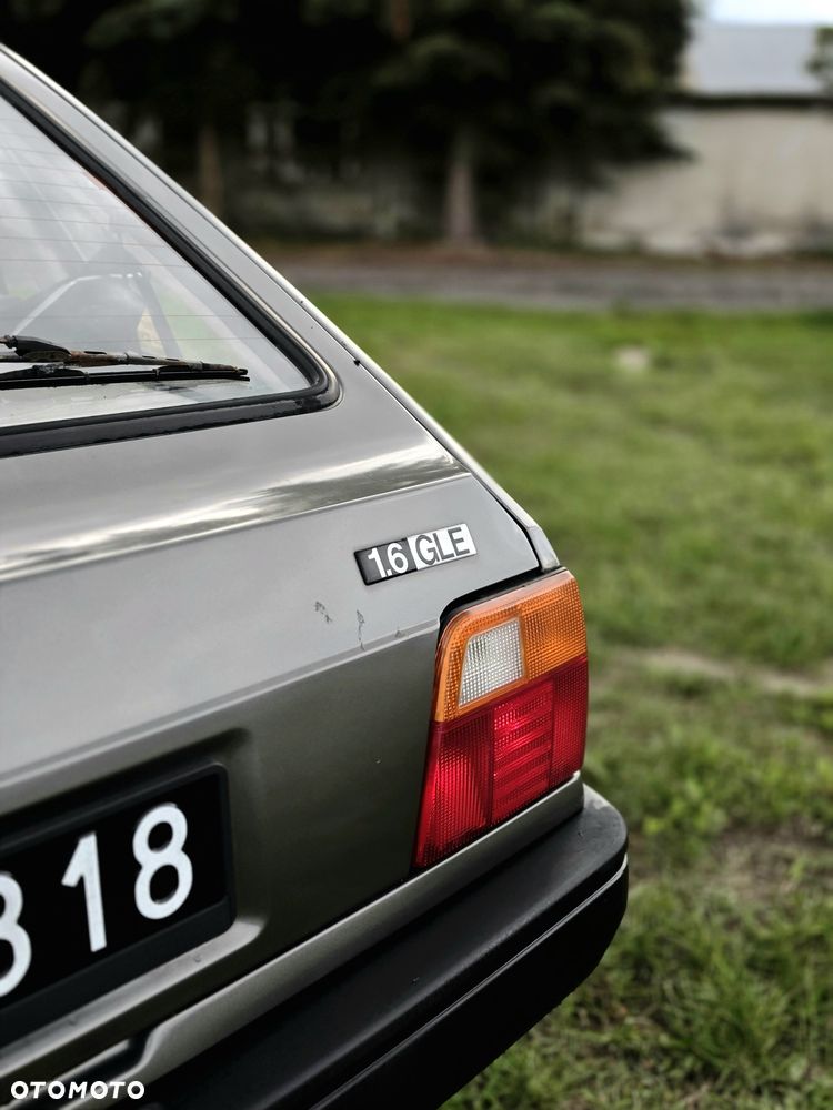 Polonez Caro - 5