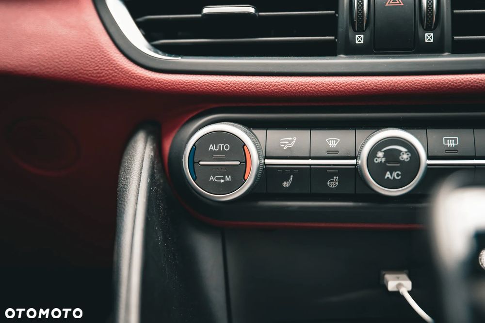Alfa Romeo Giulia - 19