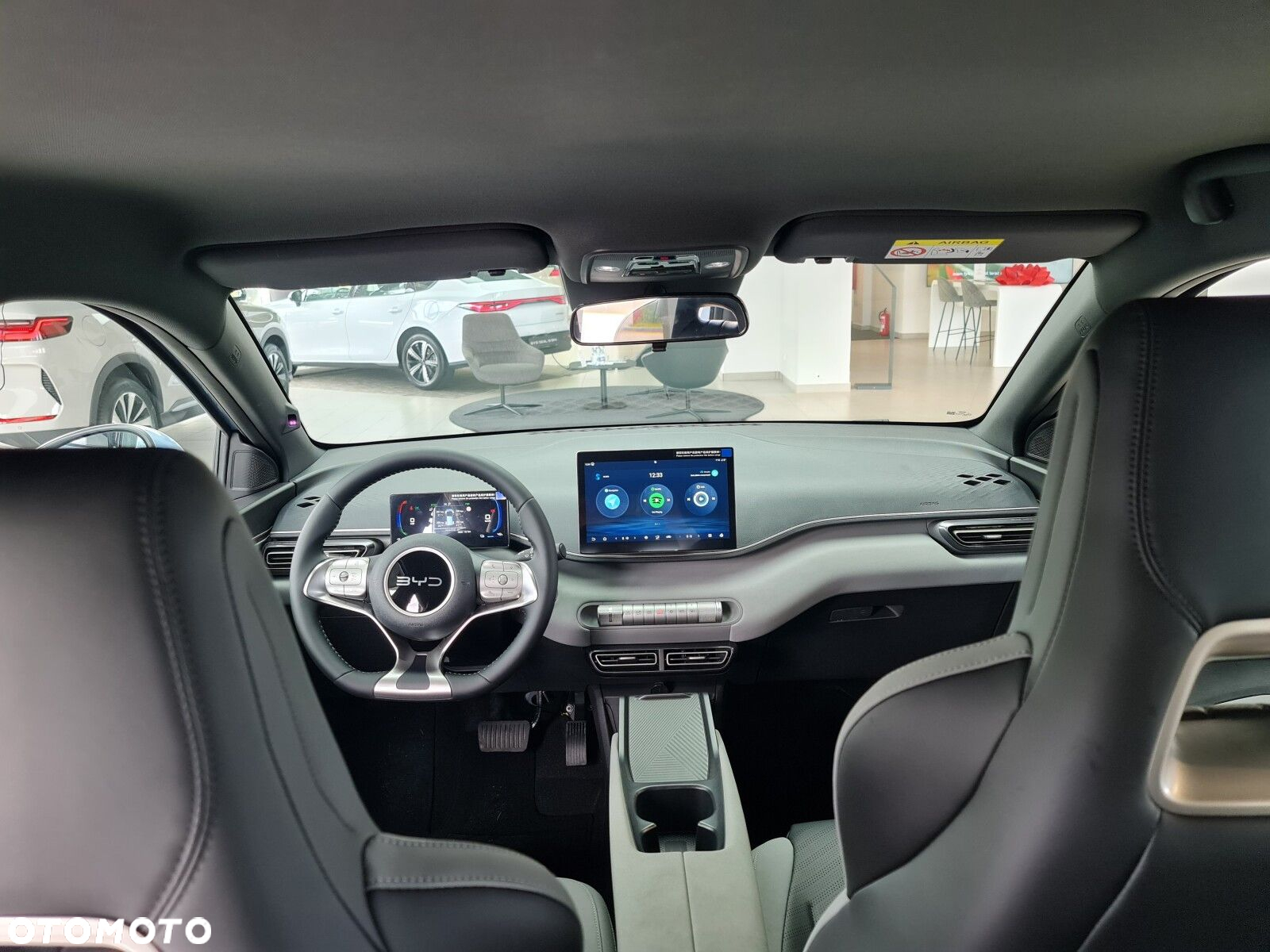 BYD Dolphin Surf - 19