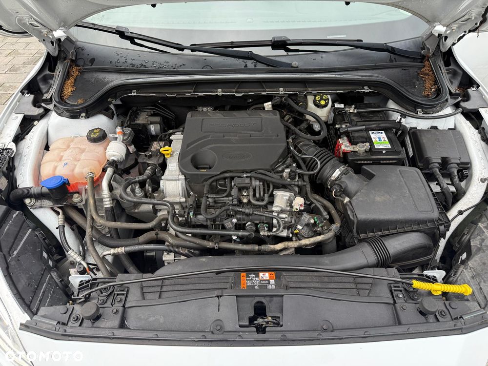 Ford Focus 1.0 EcoBoost Gold X (Edition Start) - 22