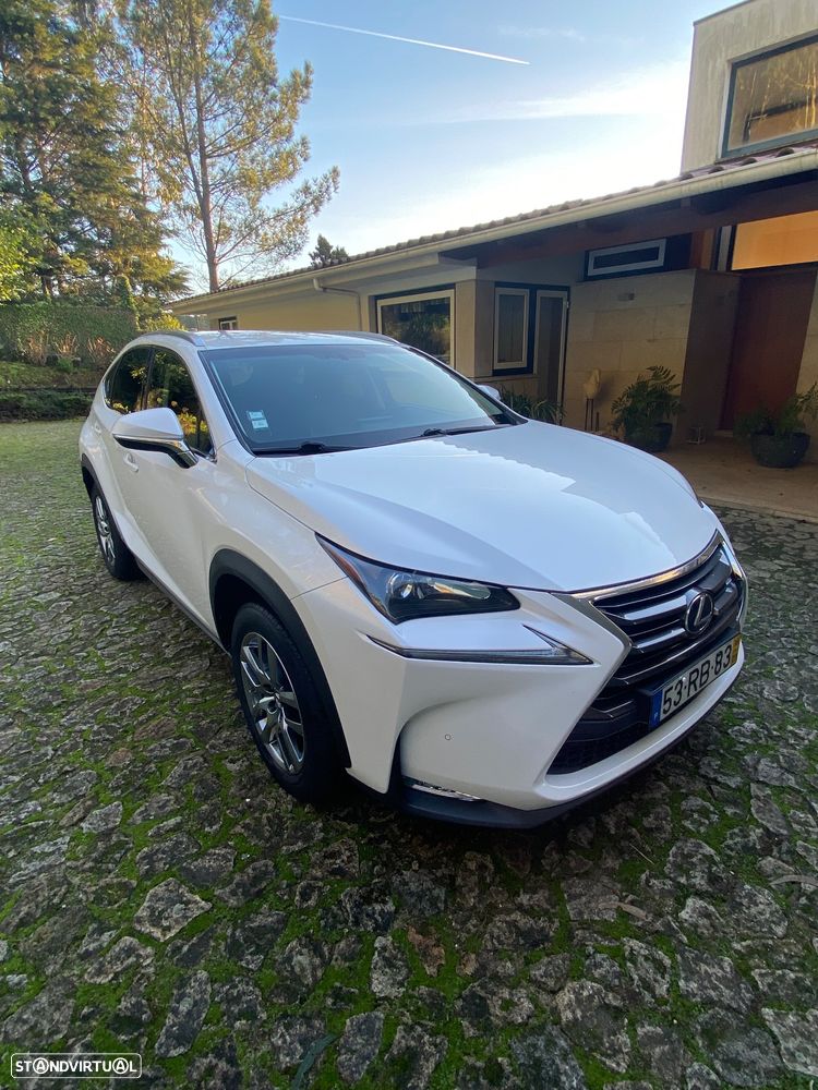 Lexus NX 300h Luxury 4WD - 3