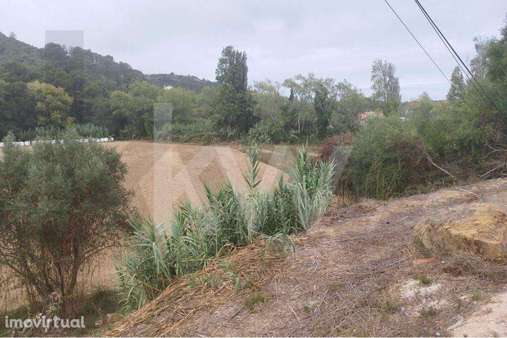 Terreno Agrícola com 7.125 m2 - Santo Isidoro - Ericeira - Grande imagem: 3/15