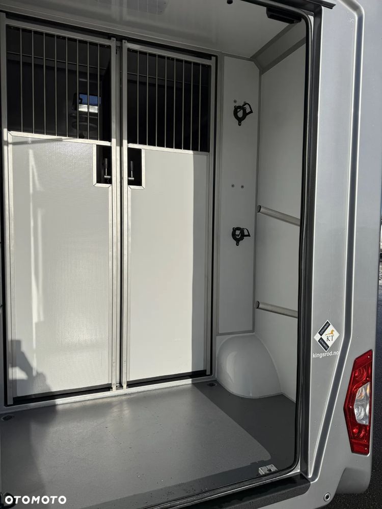 Renault MASTER IV Nowy koniowóz STX Automat, GWARANCJA - 7