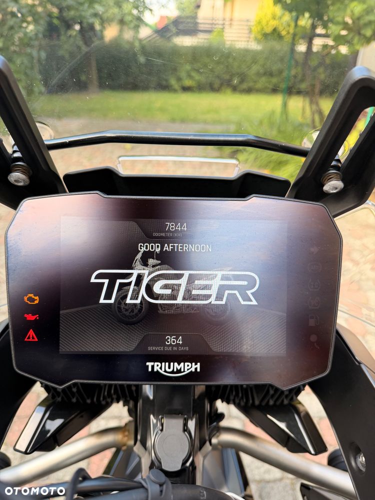 Triumph Tiger - 8