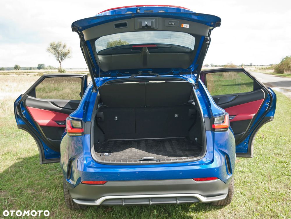 Lexus NX 350h F Sport AWD - 10