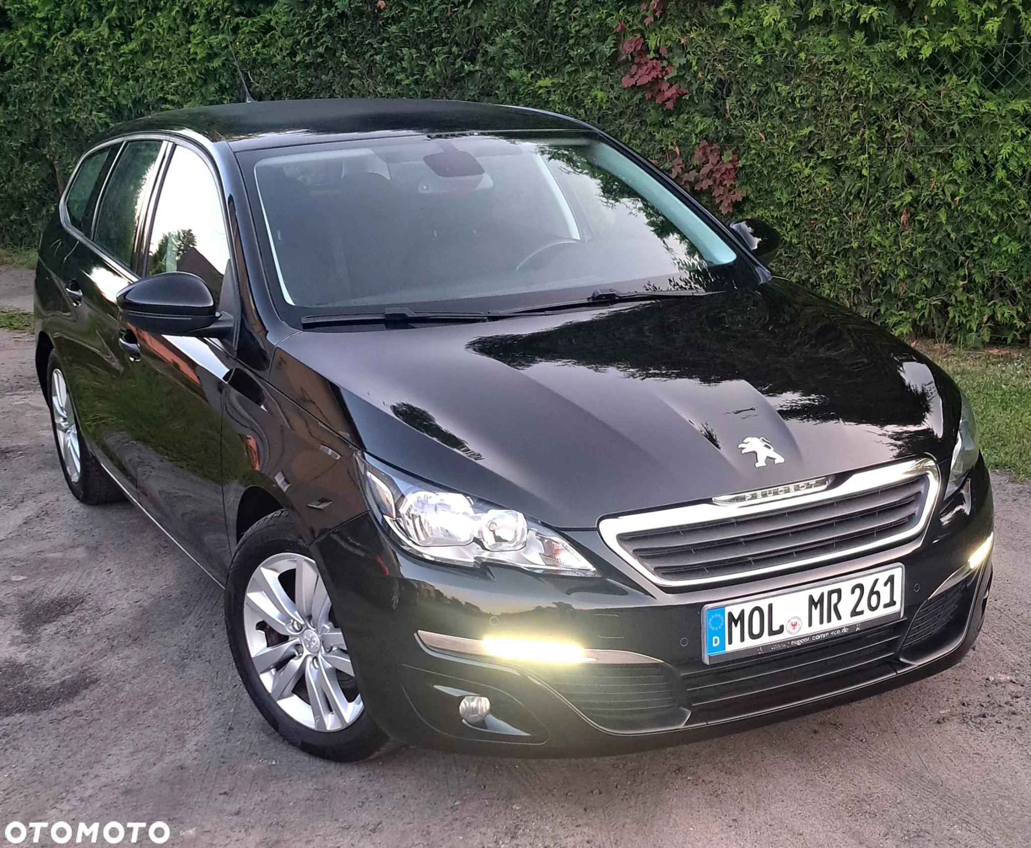 Peugeot 308 - 19