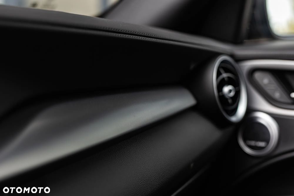 Alfa Romeo Stelvio 2.0 Turbo Veloce Q4 - 39