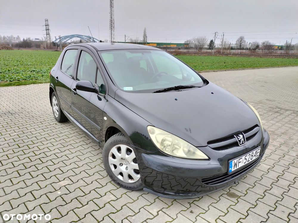 Peugeot 307 1.6 XS - 7