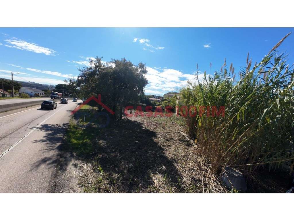 Parceiros, Azóia - Grande imagem: 4/20