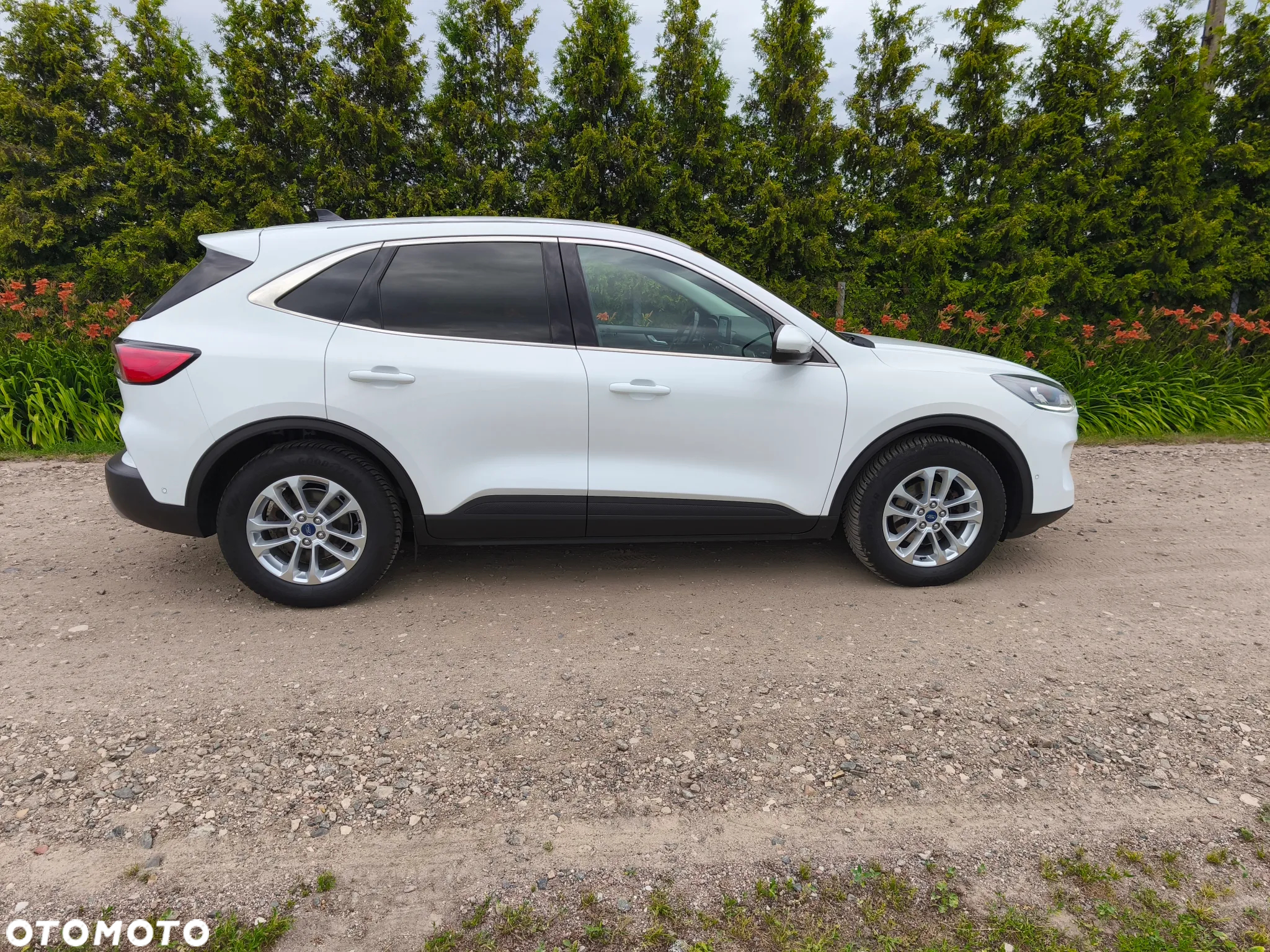 Ford Kuga - 5