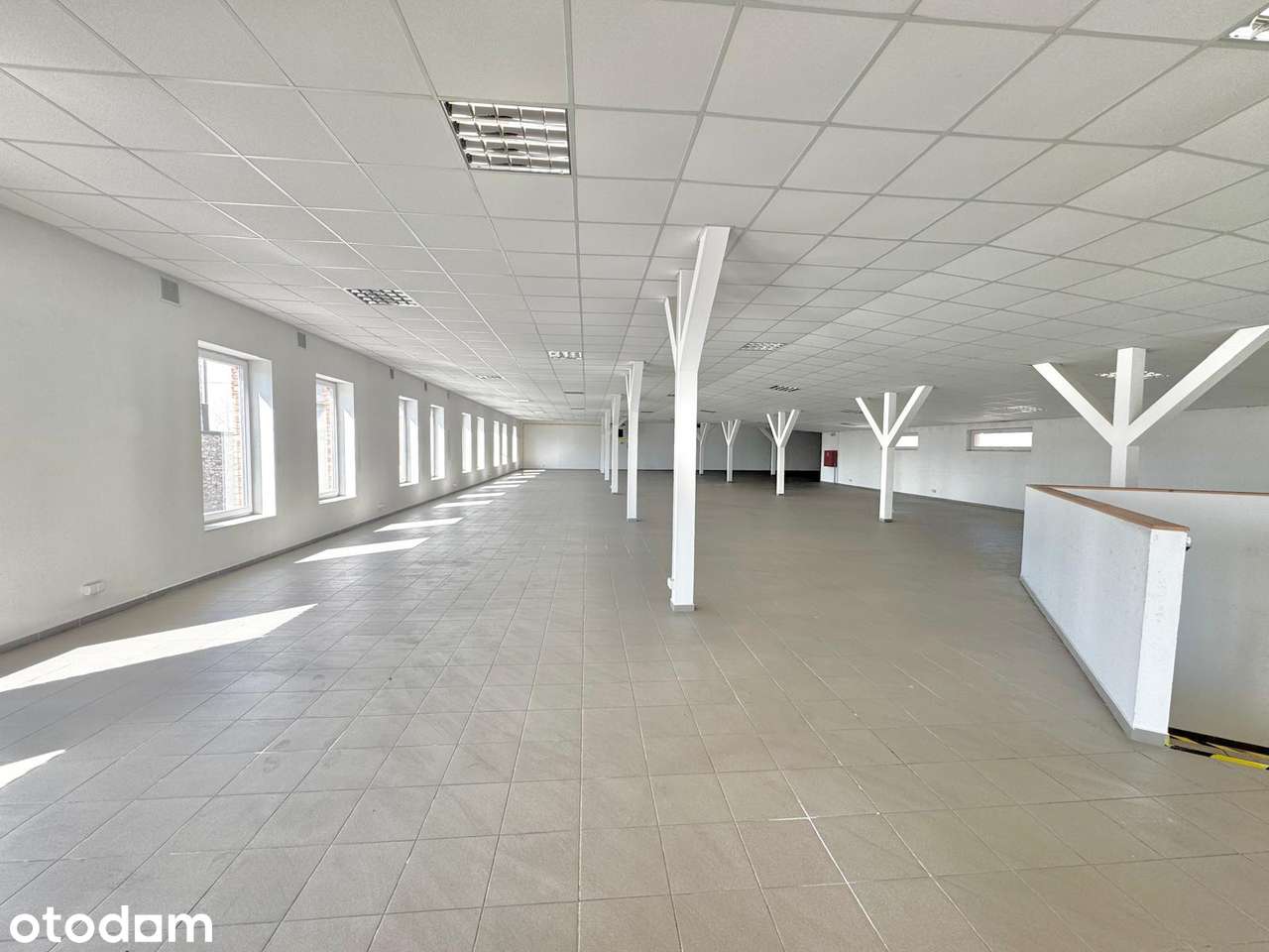 Lokal w TOP Lokalizacji - Jedno Piętro Lub Cały Budynek