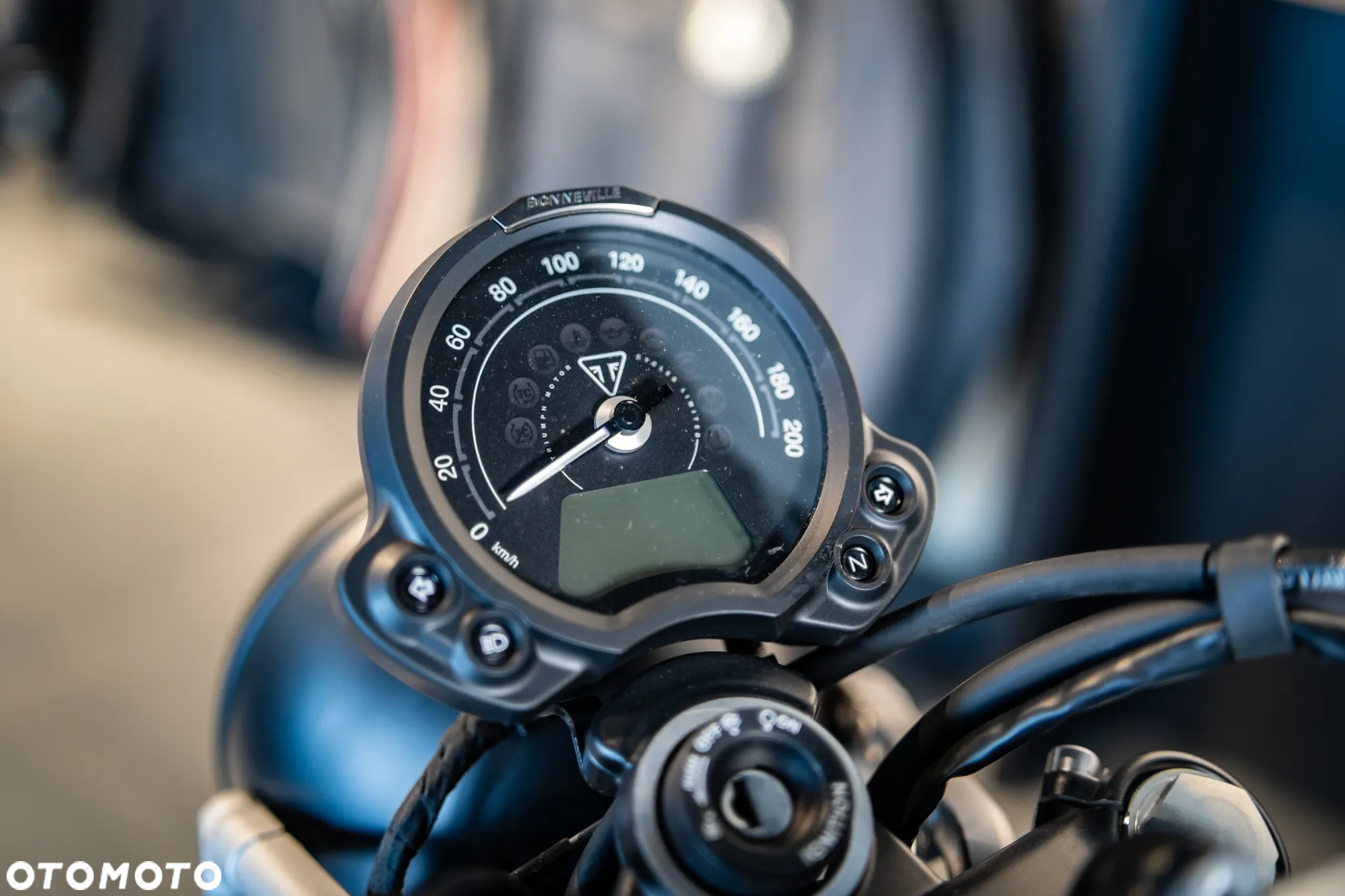Triumph Scrambler - 6