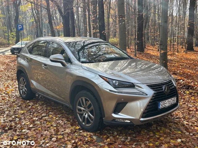 Lexus NX 300 Elegance Optimum AWD - 5