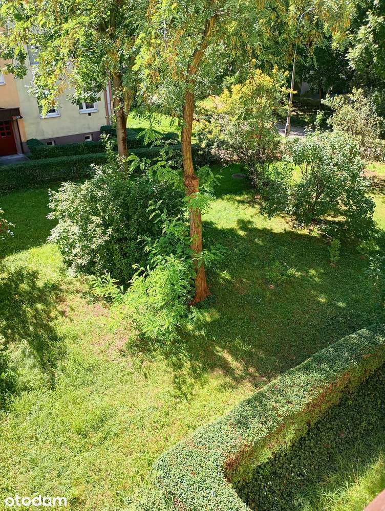 Wygodne 2 -pokoje , oddzielna kuchnia - bez prowizji