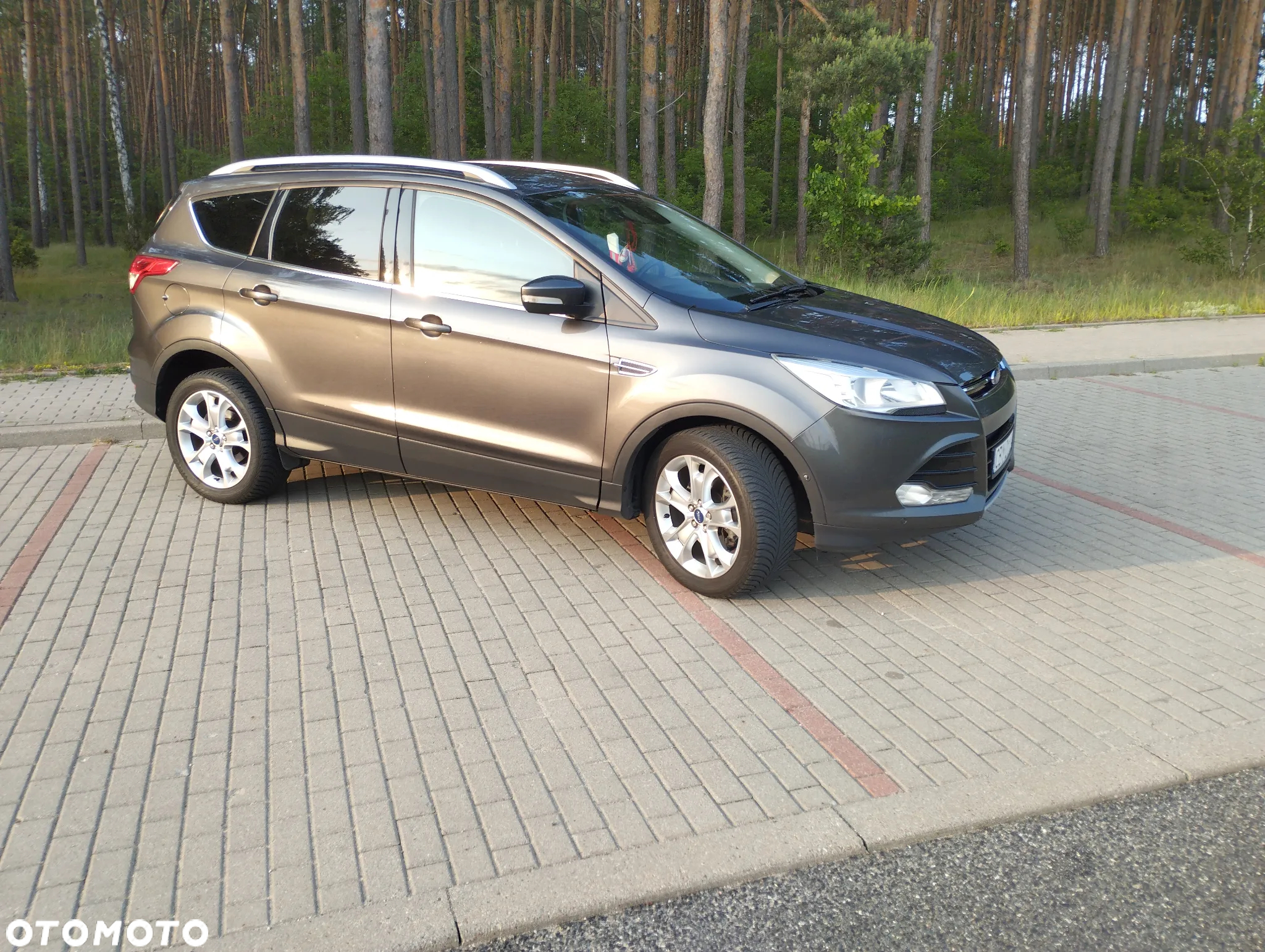 Ford Kuga 2.0 TDCi 2x4 Titanium - 2