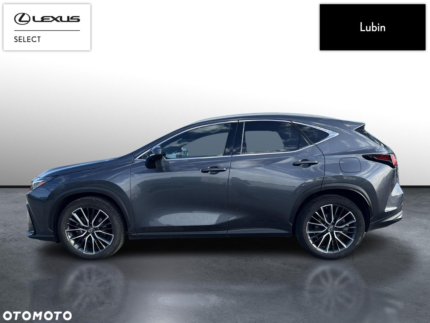 Lexus NX - 2