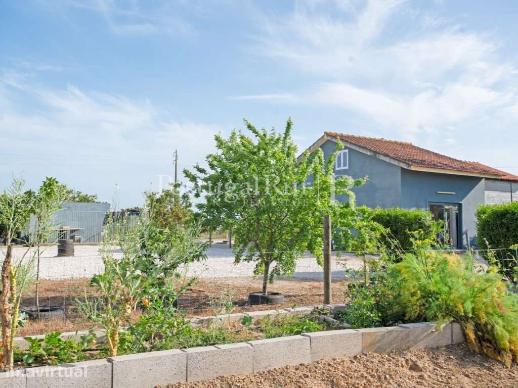 Quinta com Moradia T3 e 5.025 m² de Terreno em Benavente - Grande imagem: 5/51