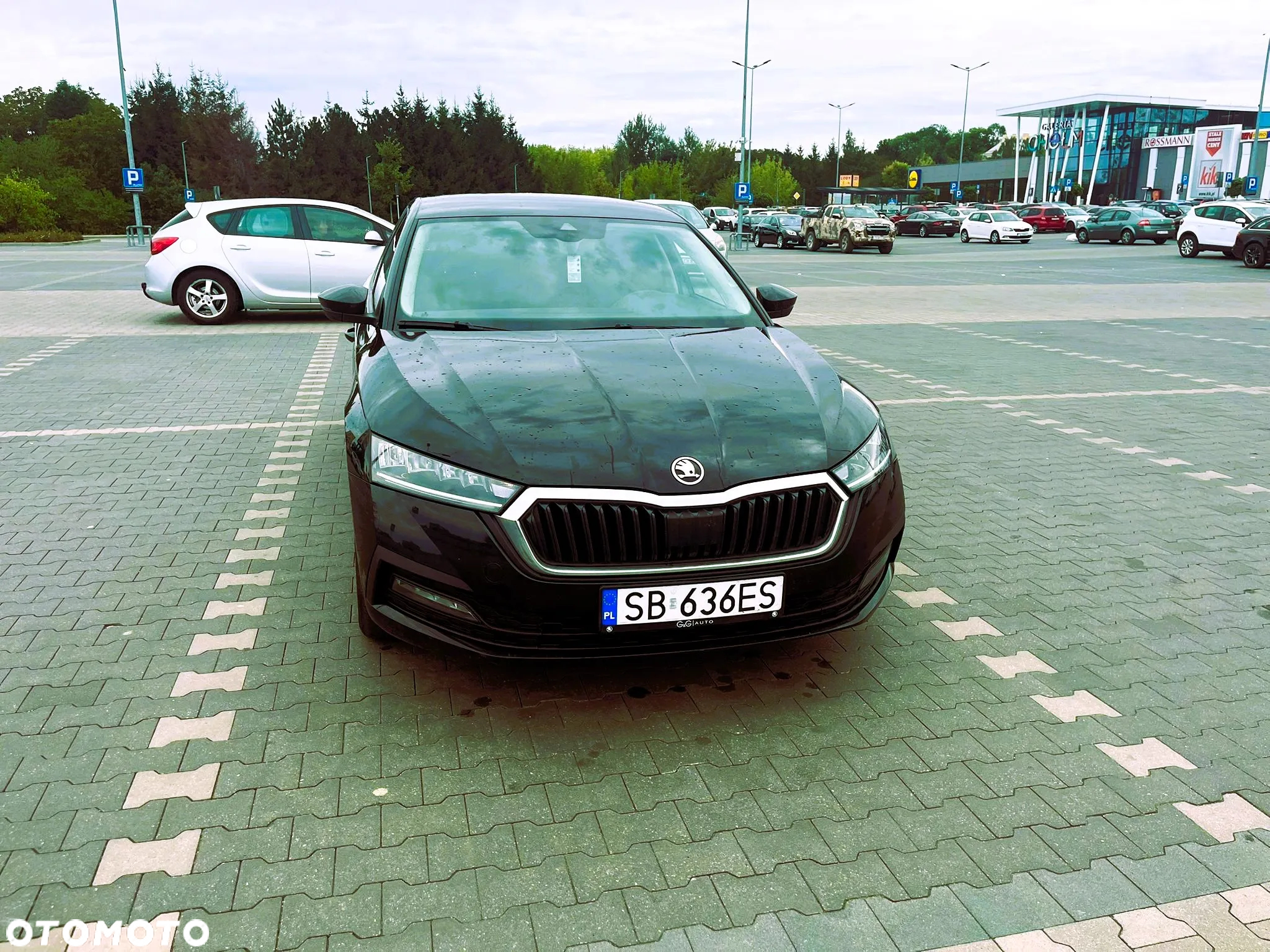 Skoda Octavia - 2