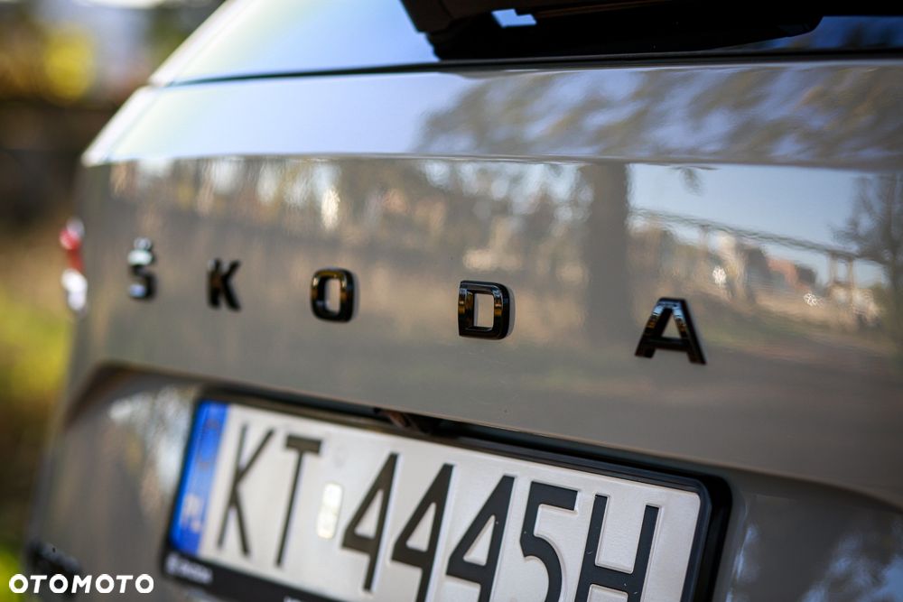 Skoda Karoq 1.5 TSI ACT Sportline DSG - 14