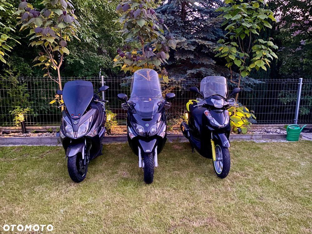 Honda SH - 19