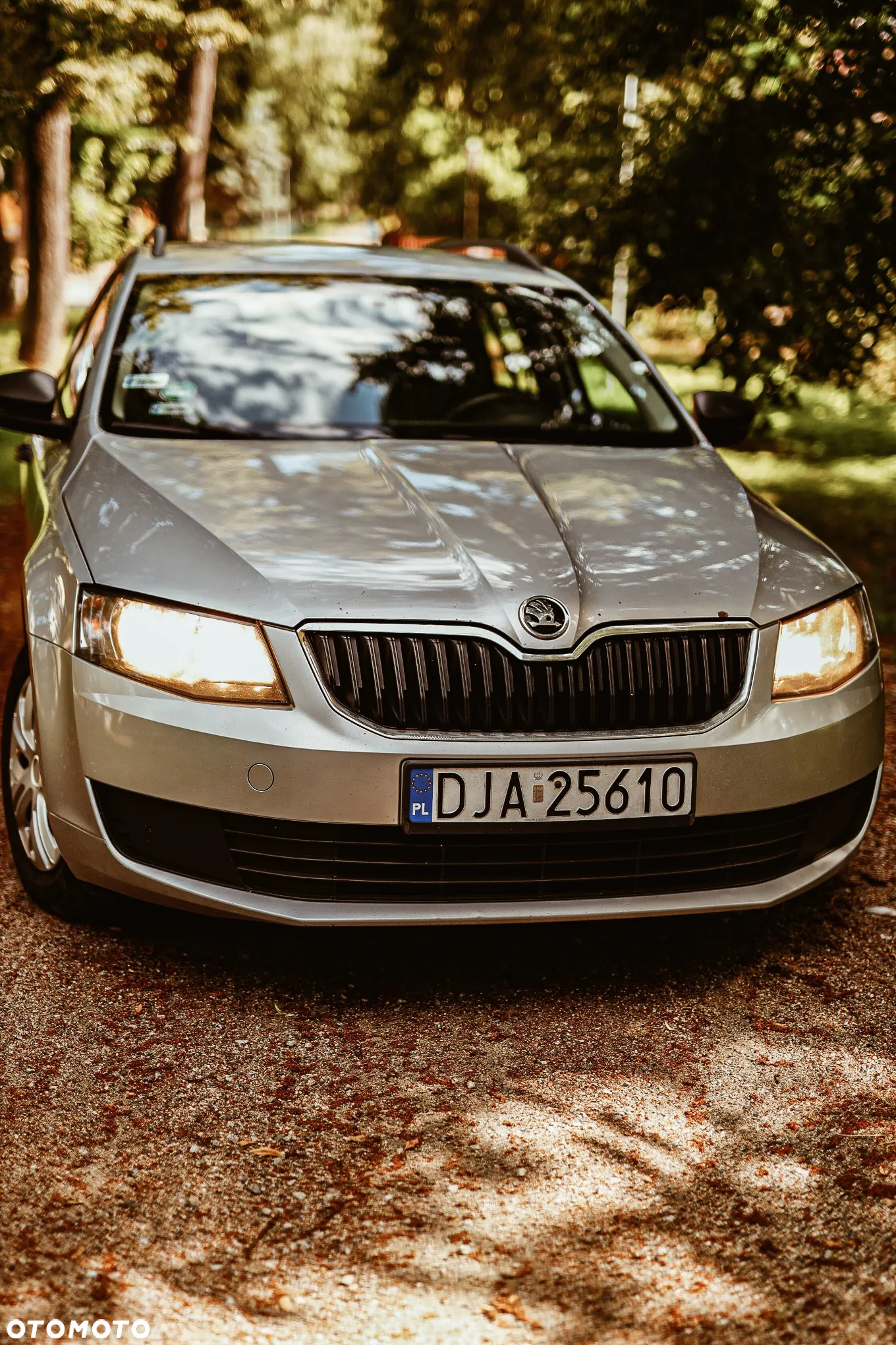 Skoda Octavia 1.6 TDI Active - 7