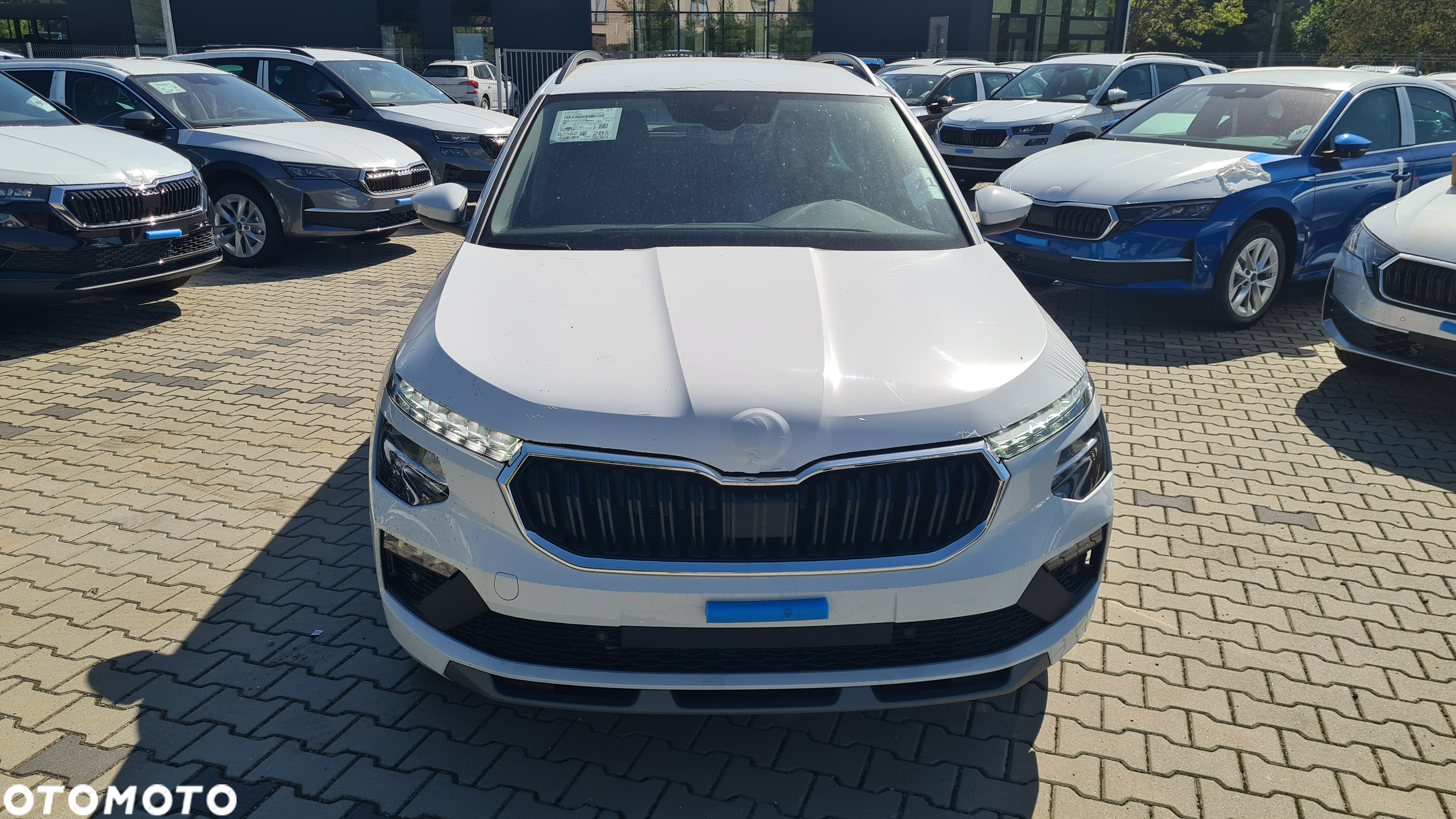 Skoda Kamiq 1.5 TSI Edition 130 DSG - 2