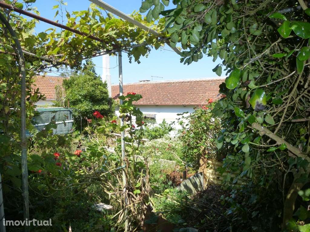 Moradia em S. Pedro de Sintra - Grande imagem: 4/25