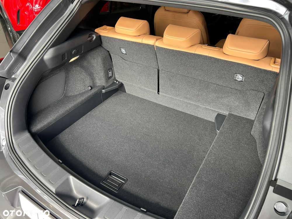 Lexus UX 300h F Sport Design - 12