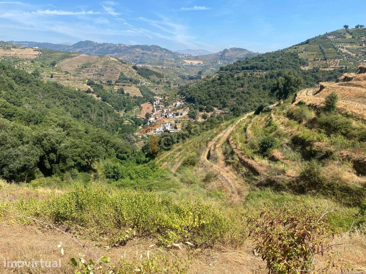Quinta no Douro - Grande imagem: 5/16