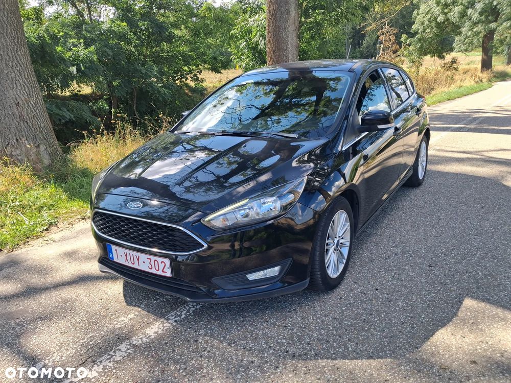 Ford Focus - 5