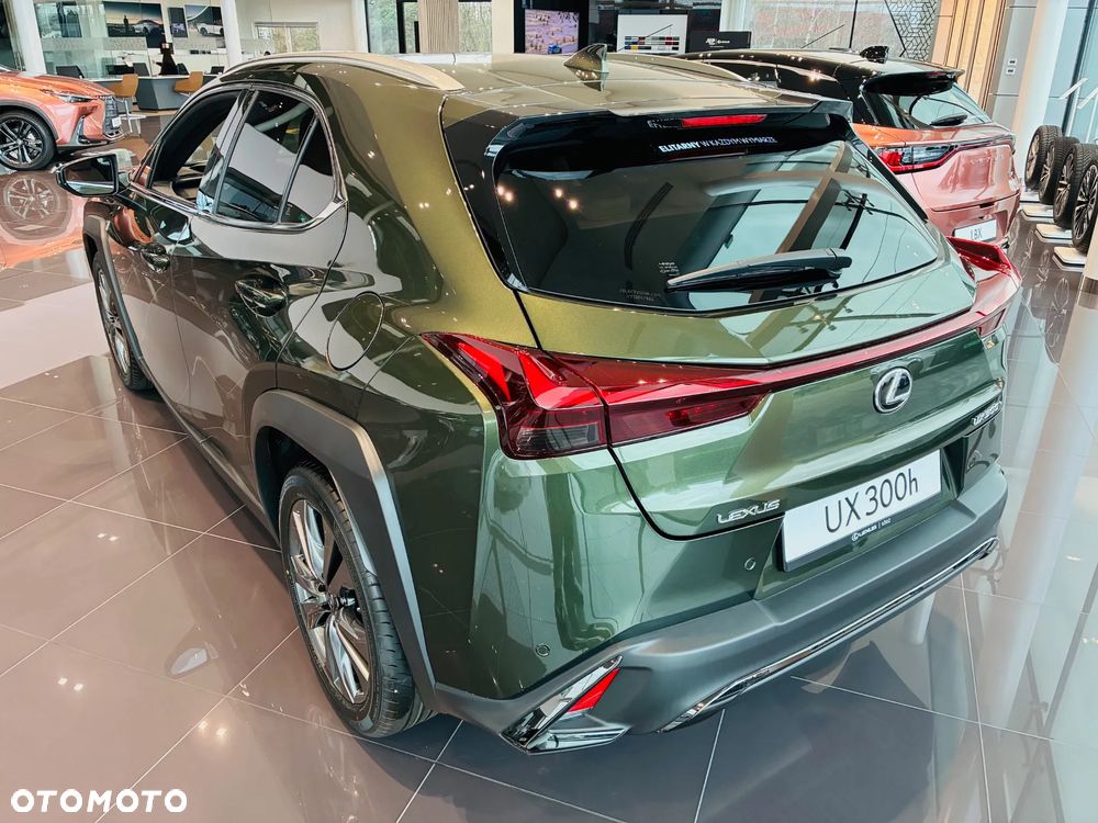 Lexus UX 300h F Sport Design - 4