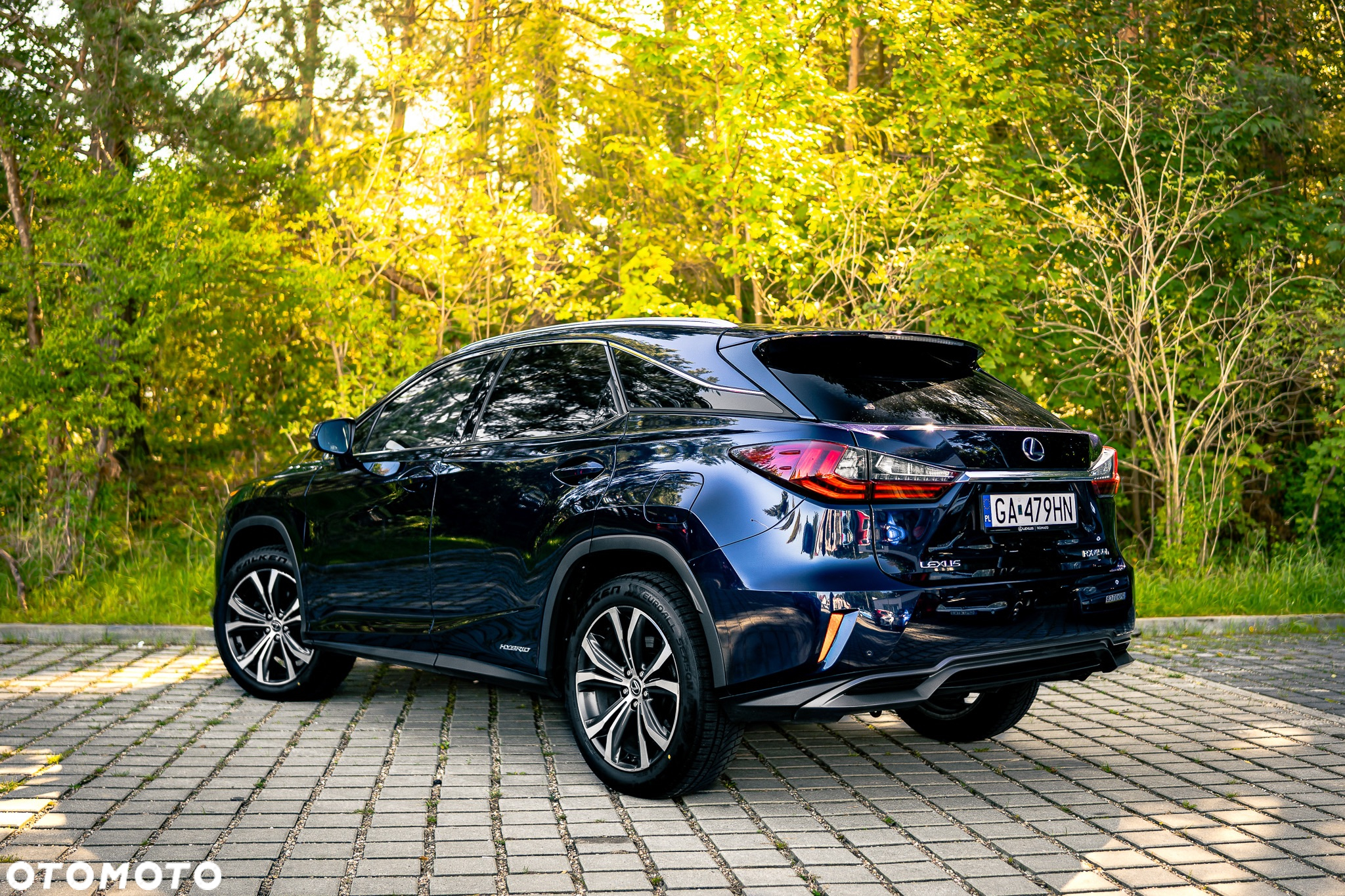 Lexus RX ver-450h-elegance - 2