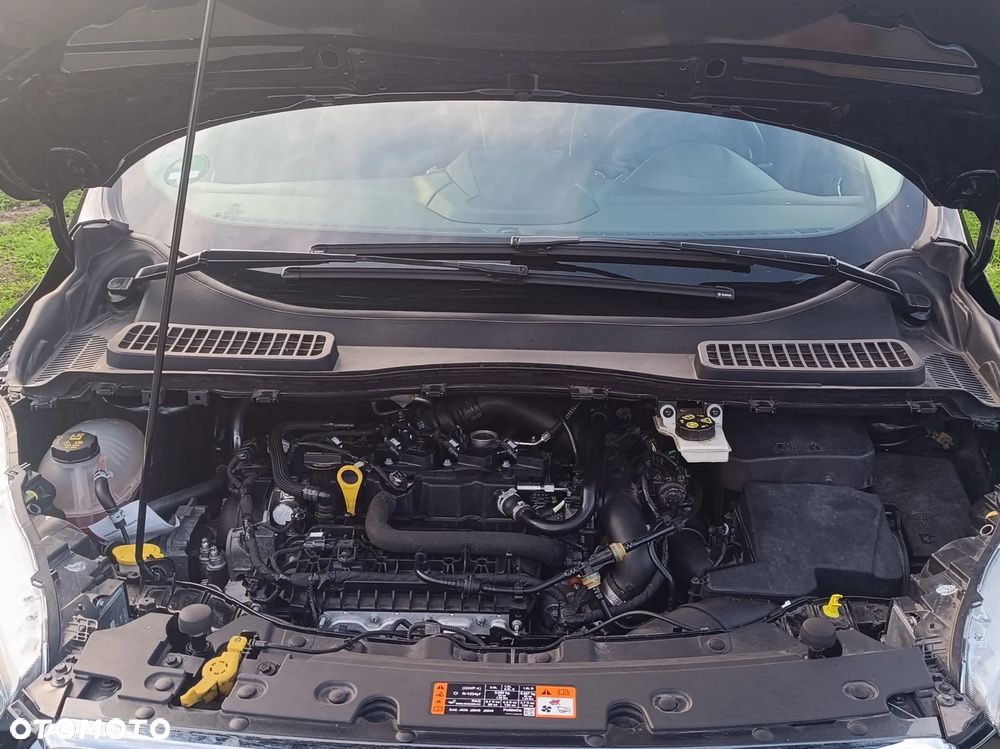 Ford Kuga Vignale 1.5 EcoBoost FWD ASS GPF - 18