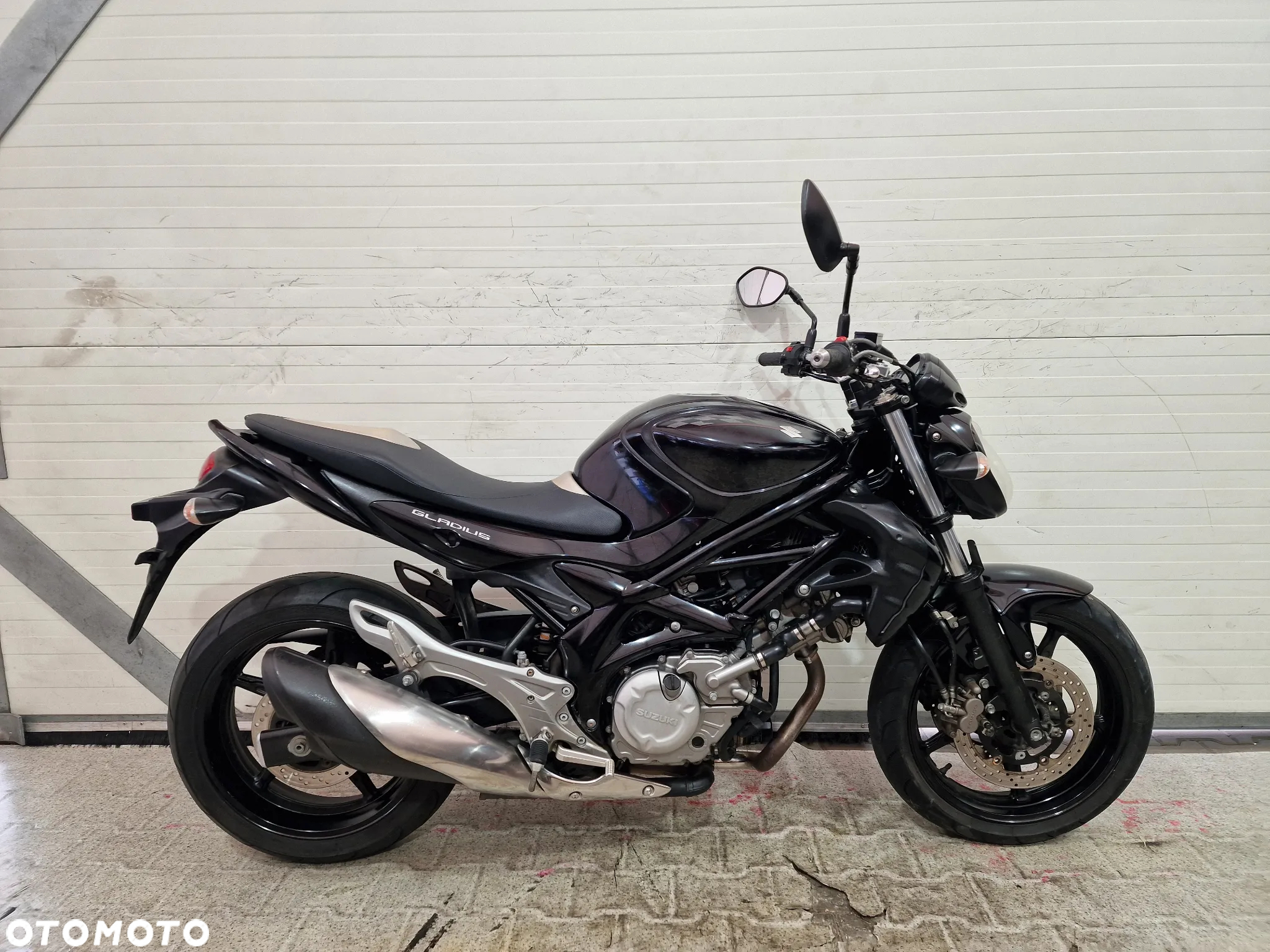Suzuki Gladius - 17